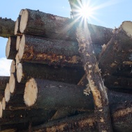 Sun shining through stacked logs, with a winch in the background
